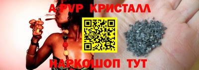 прущие грибы Гатчина