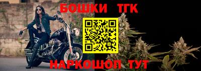 прущие грибы Гатчина